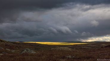 Solflod, Hardangervidda