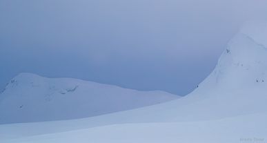 Linjer
