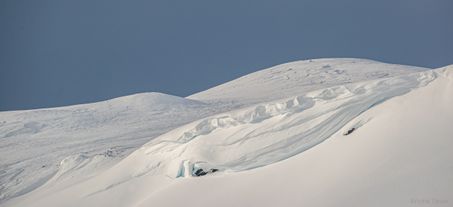 Snøfonn
