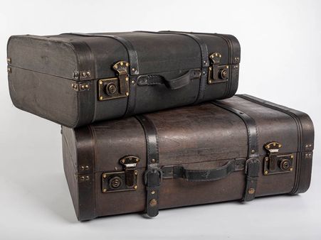 Valise