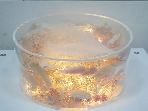 Présentoir à gâteau lumineux