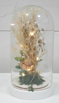 Cloche lumineuse avec fleurs séchées