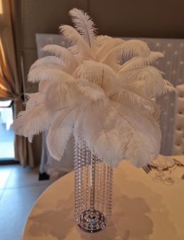 Montage de plumes