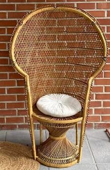 Fauteuil Emmanuelle adulte