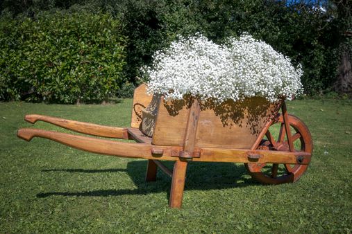 Brouette en bois