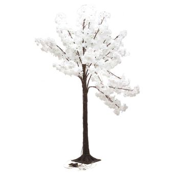 Arbre sakura blanc lumineux