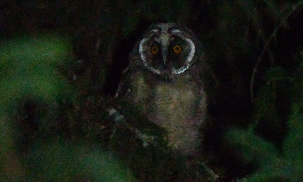 DSC_3890