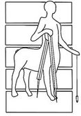 Centaur Interieur