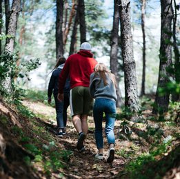 Caminata y meditación en la montaña: EXCURSIÓN Y CAMINATA POR EL PARQUE NATURAL DEL GARRAF Caminata y meditación en la montaña: EXCURSIÓN Y CAMINATA POR EL PARQUE NATURAL DEL GARRAF
