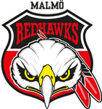 Diamond gym Malmö och pt i samarbete med malmö Redhawks