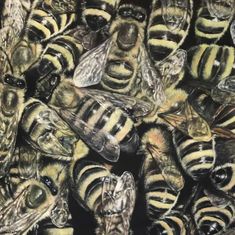 big bees