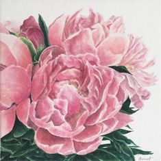 pivoine_2