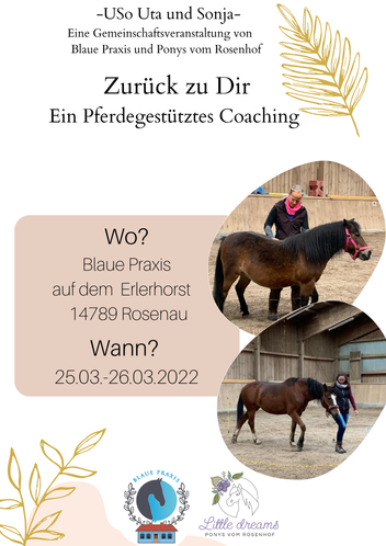 Ausschreibung 1