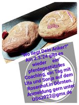 IMG_20231028_221953