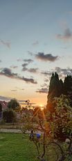 IMG_20240914_190245