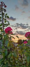IMG_20240914_190324