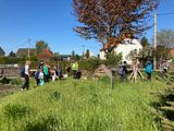 P5070336 IMG_3751