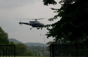 warolduc08