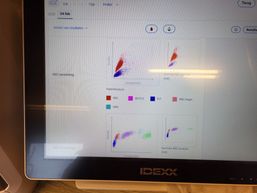 Dot Plot grafiek