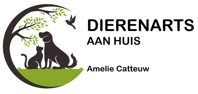 Dierenarts aan huis Amelie Catteuw