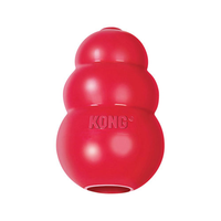 Kong classic hond