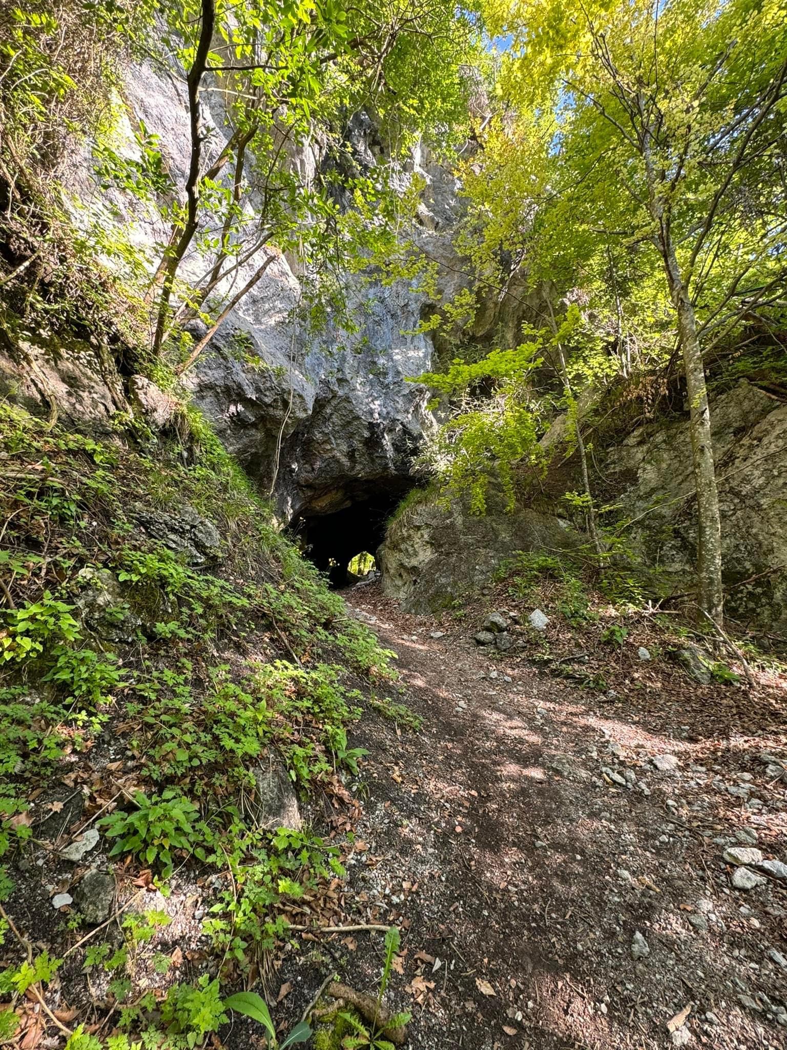 IMG_4447