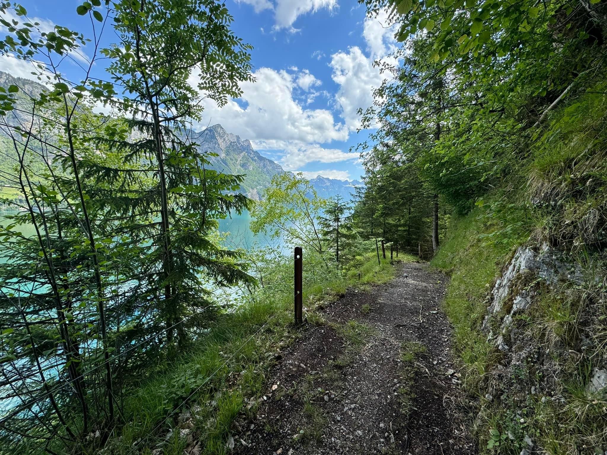 IMG_4474