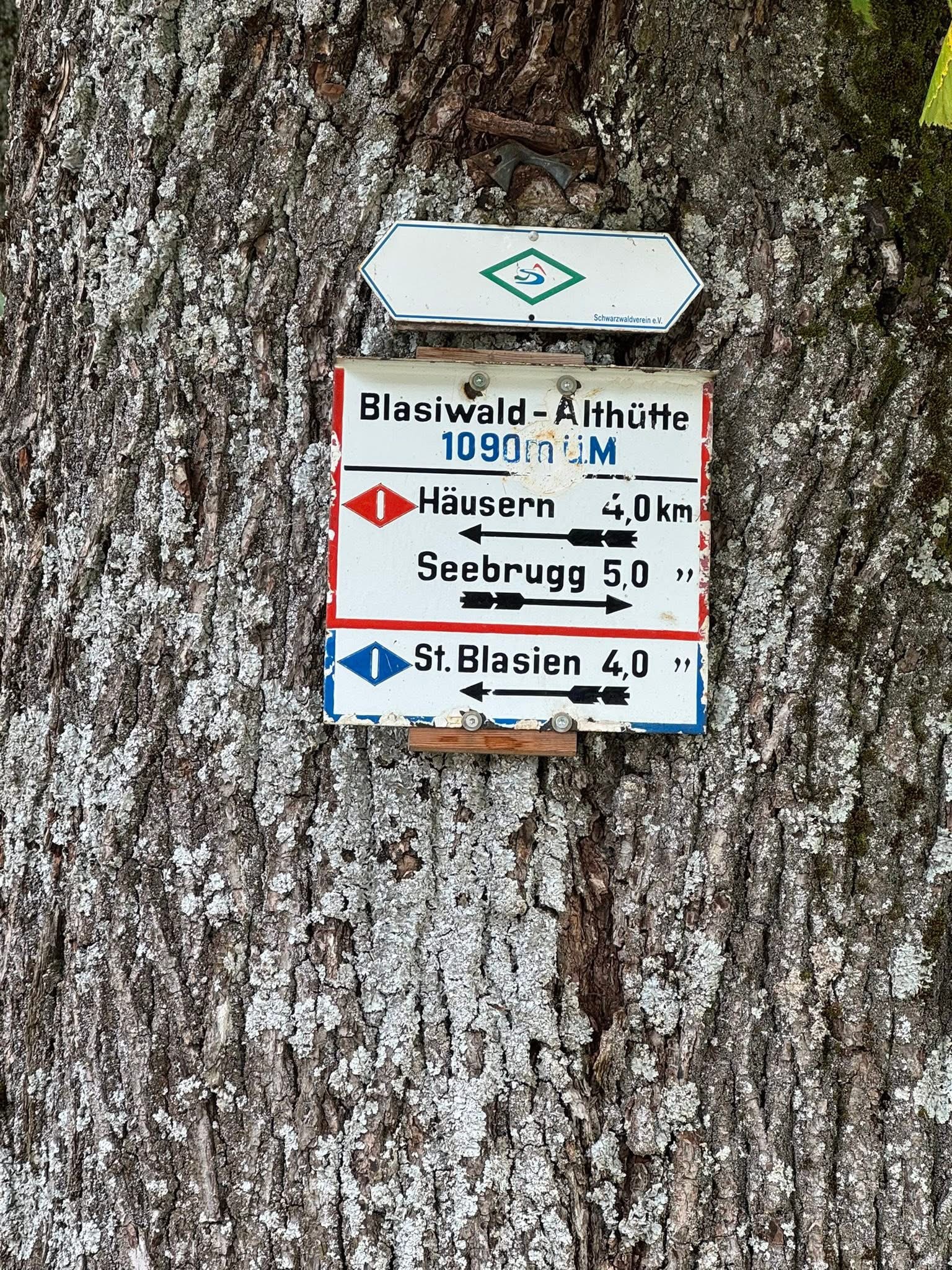 IMG_5860