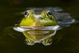 3- Reflectie - Luc Tielemans