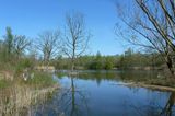 Wandelen