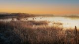Polder