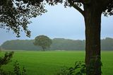 Landschap