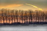 evening light