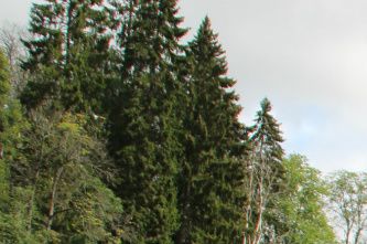 Lekumevja mot Helvetesfossen.