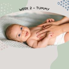 Week 2 - Tummy 