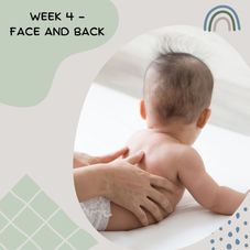 Week 4 - Face and Back 