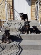 gruppbild