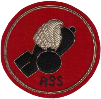 Ammunitionsrydningsassistent.