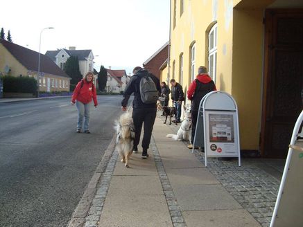 HLT / Hverdagslydighedstræning