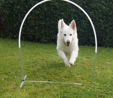 Hoopers