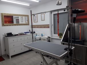 Im Salon