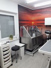 Im Salon