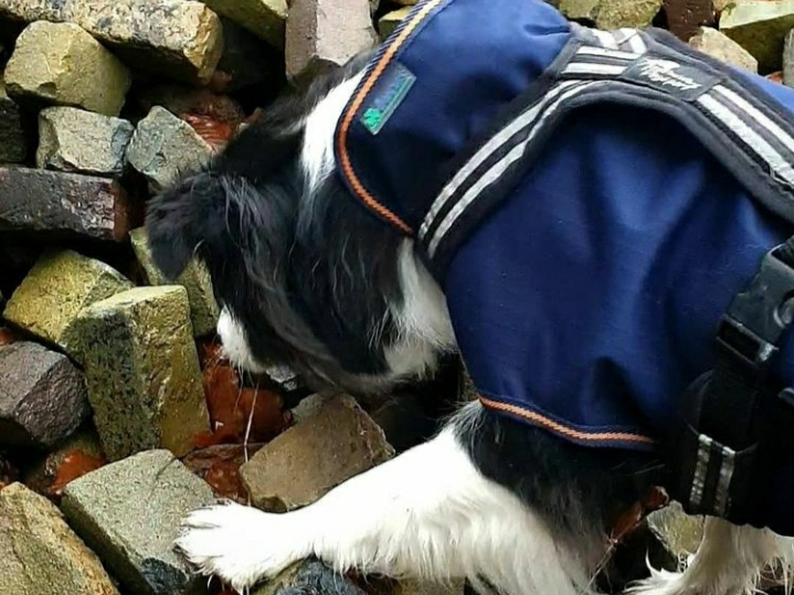 zoeken tussen stenen