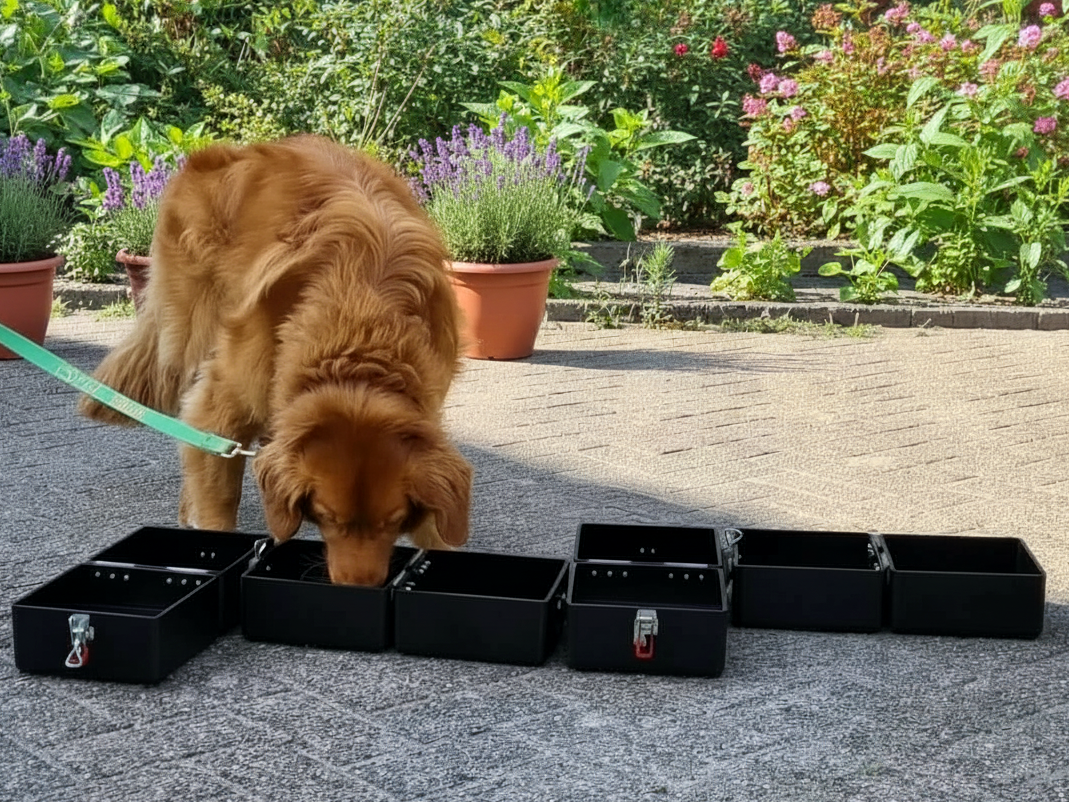 kennismaken met de boxen