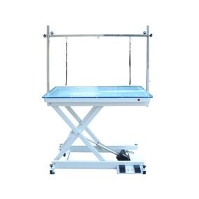 TOPMAST ELEKTRISCHE TRIMTAFEL MET LED VERLICHTING 110 X 60 CM
