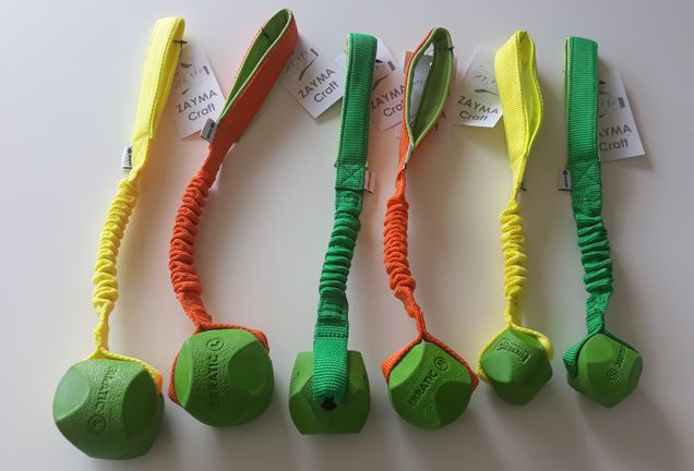 Chuckit! Erratic bungee. neon Yellow , orange ,green )