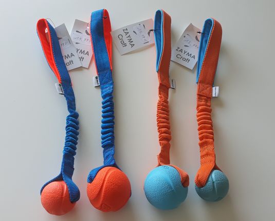 Chuckit! Fetch Ball bungee ( orange , blue )