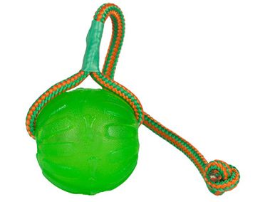 Everlasting Swing n Fling Chew ball
