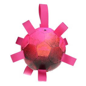 Dog Comets Hypernova. Roze