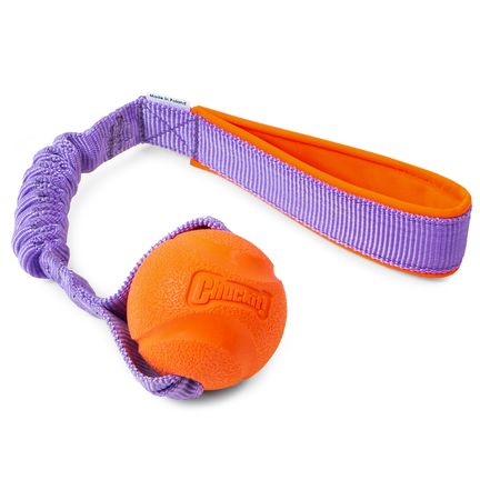 Chuckit! Fetch Ball bungee ( orange , blue )
